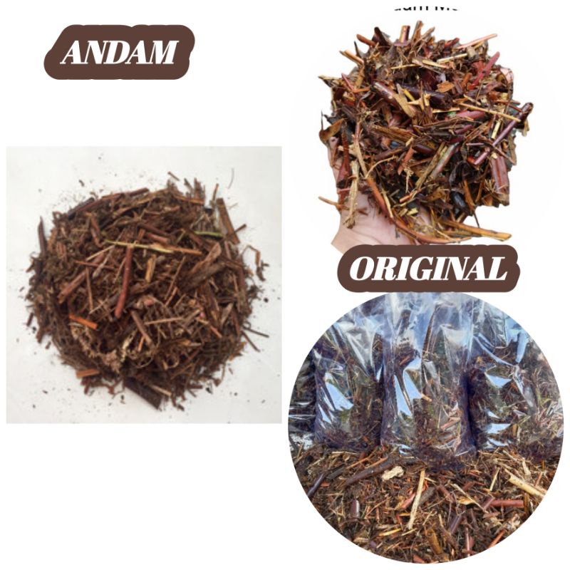 Jual MEDIA TANAM ANDAM ORIGINAL PENYUBUR TANAMAN HIAS | Shopee Indonesia