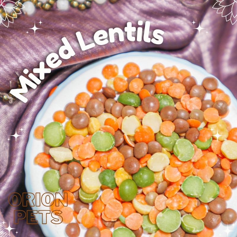 Jual orionpets Mixed Lentils snack hamster makanan hamster Shopee