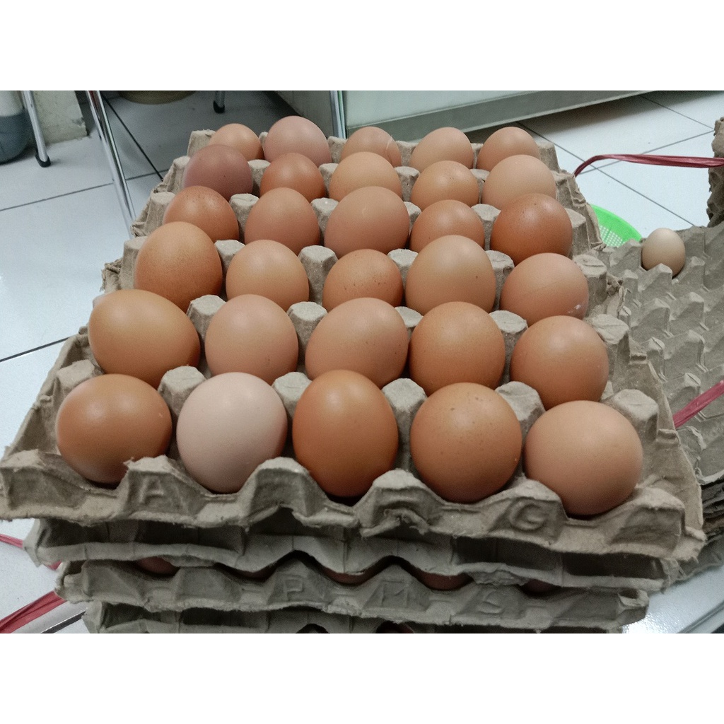 Jual Telur Ayam 1 Papan 30 Butir Shopee Indonesia 2273