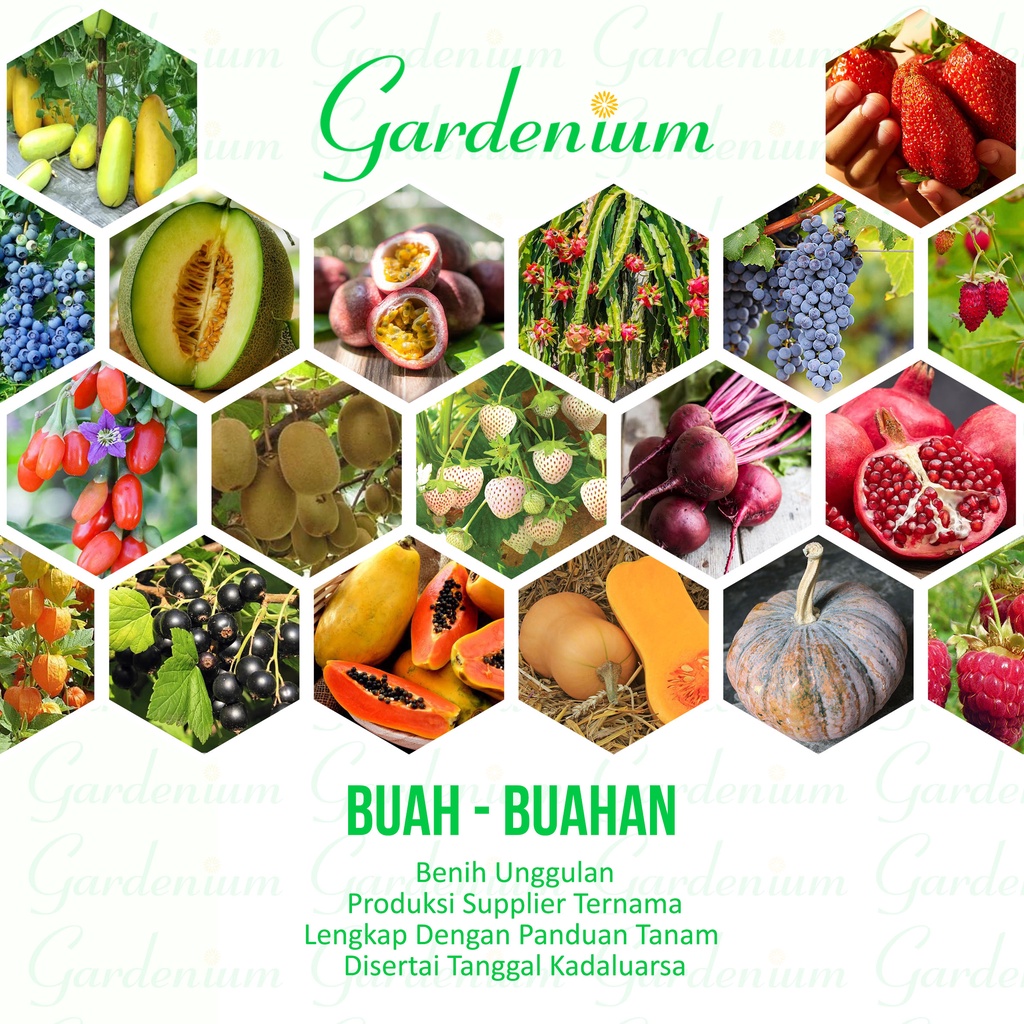 Macam Macam Benih Buah Buahan Paktani
