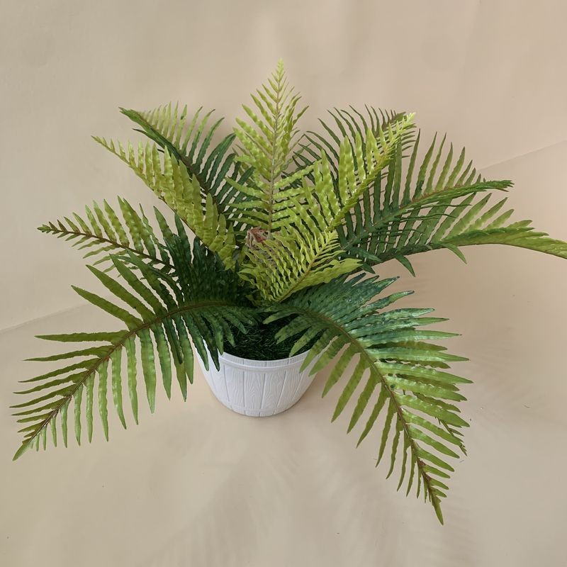 Jual Pot Tanaman Artificial (Pakis Tropis) | Shopee Indonesia