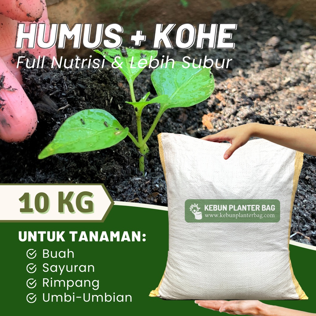 Jual Humus Organik 10 Kg Tanah Rawa Media Tanam Murni Subur Karungan ...