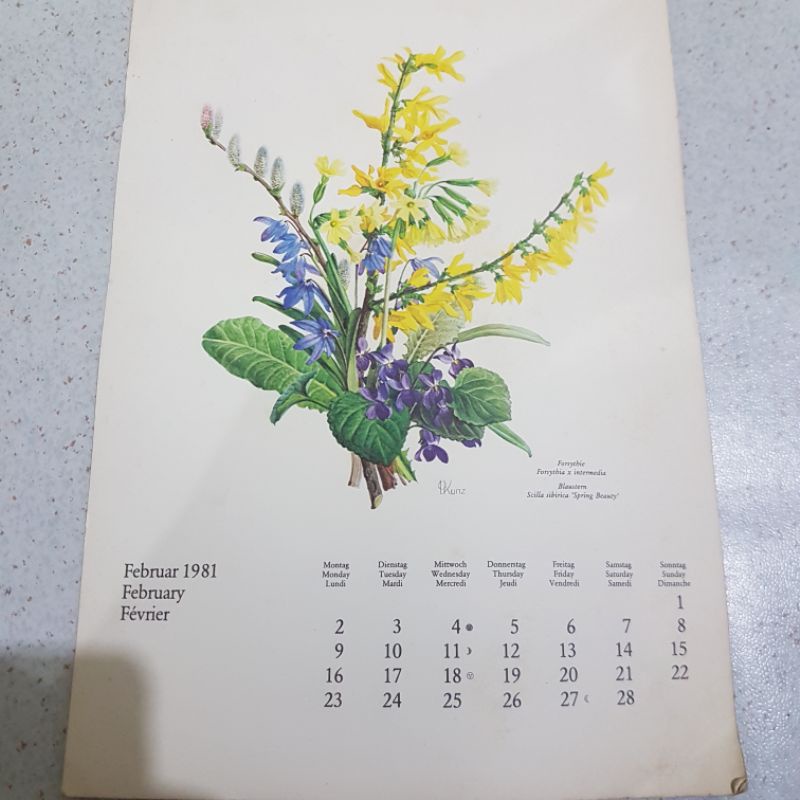 Jual Kalender asli cetakan 1981 Jerman bulan Februari 1981 gambar bunga