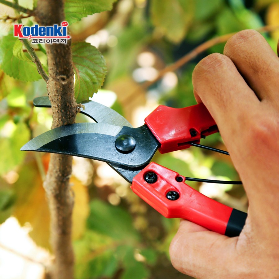 Jual Pruning shears gunting dahan ranting tanaman 8 inch | Shopee Indonesia
