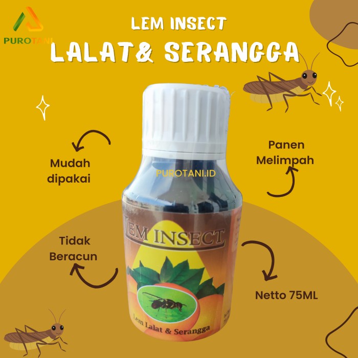 Jual LEM INSECT Lem lalat buah dan serangga 75 ML | Shopee Indonesia