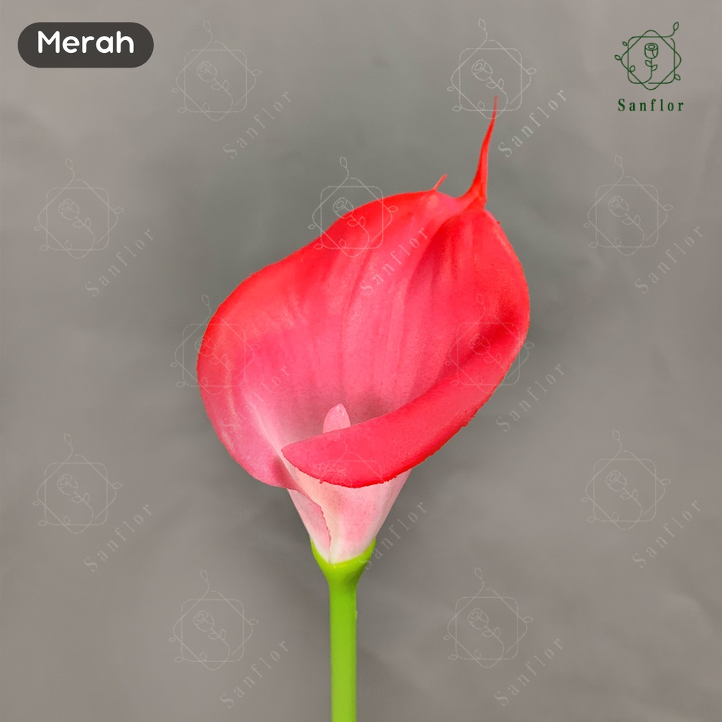Jual CALLA LILY K1/BUNGA LILY LATEX 1 CABANG/CALLA LILY PALSU | Shopee ...