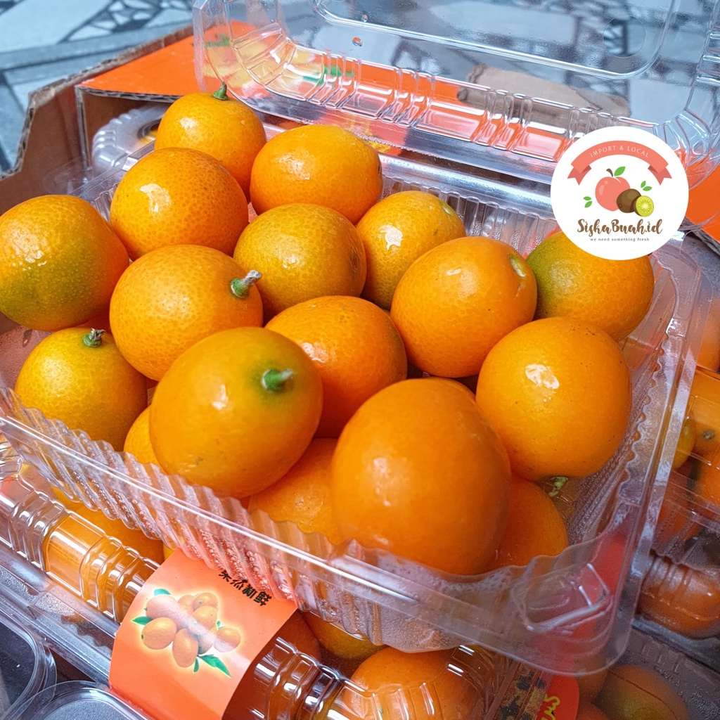 Jual JERUK KIMKIT | JERUK KUMQUAT - IMPOR CHINA | Shopee Indonesia