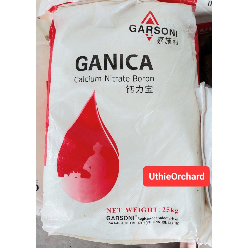 Jual Garsoni Ganica Calcium Nitrate Boron (Pupuk Kalsium Nitrat Boroni ...
