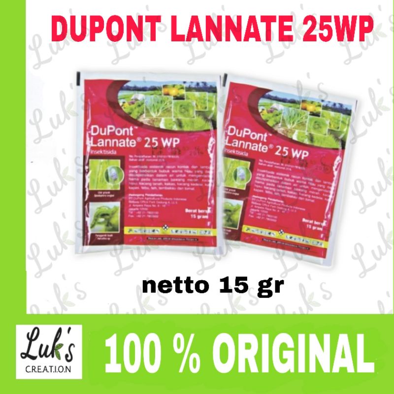 Lanet busty eshaklar bilan katta Dik