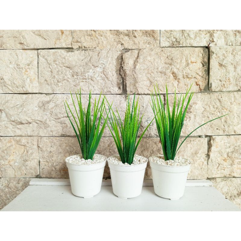 Jual Rumput artificial pot mini // bunga pot mini // daun artificial ...