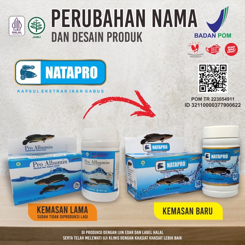 Jual NATAPRO ( PERUBAHAN DARI PRO ALBUMIN ) KAPSUL IKAN KUTUK | Shopee ...