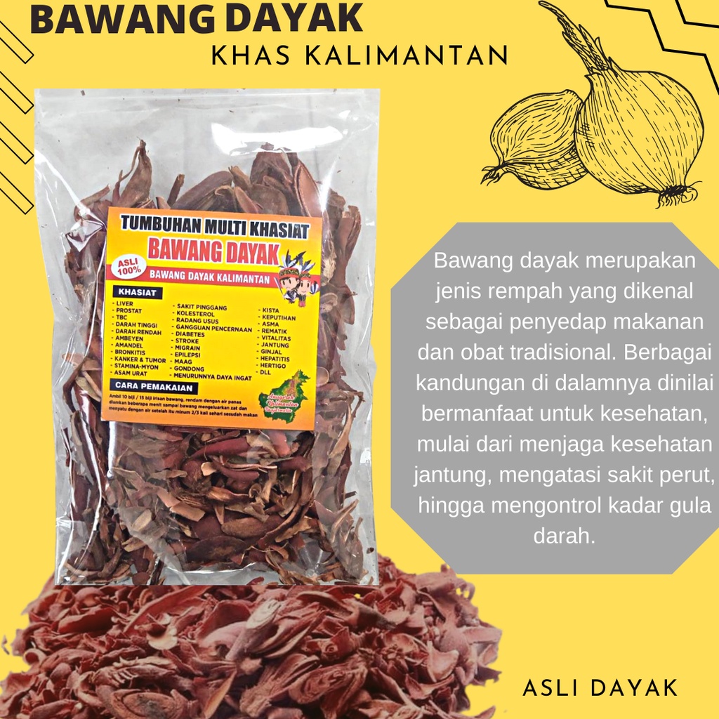 Jual Bawang Dayak Kalimantan Kering Tumbuhan Multi Khasiat Shopee