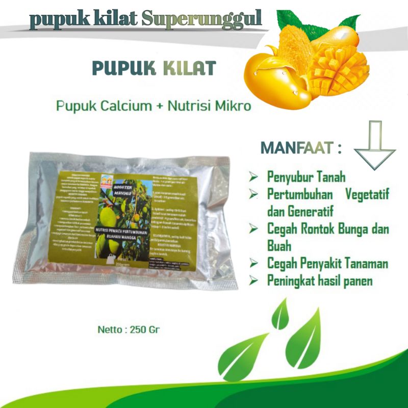 Jual Pupuk Booster Organik Pelebat Buah Mangga Dan Perangsang Agar ...