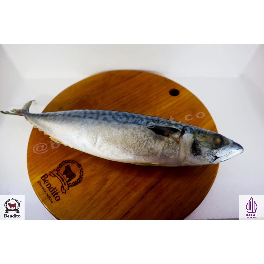 Jual Japanese Saba Fish | Shopee Indonesia