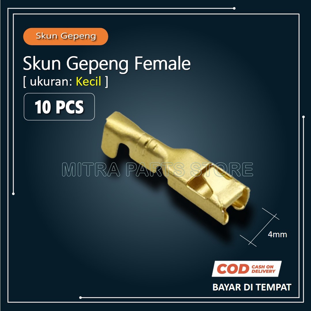 Jual Skun Gepeng Kecil Female Cewek Skun Kabel Motor Sekun Kabel Konektor Kabel Pcs