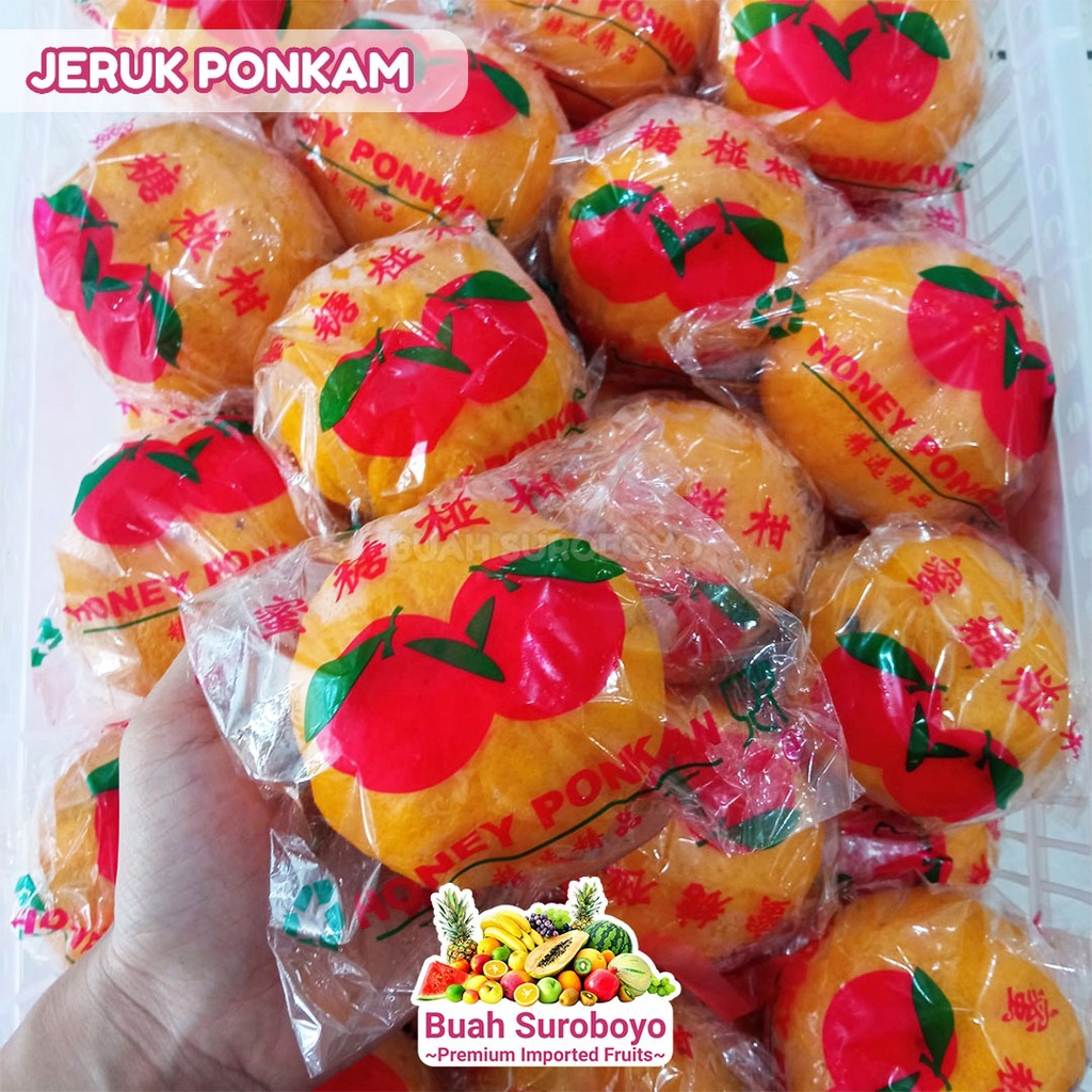 Jual Jeruk Ponkam Shopee Indonesia