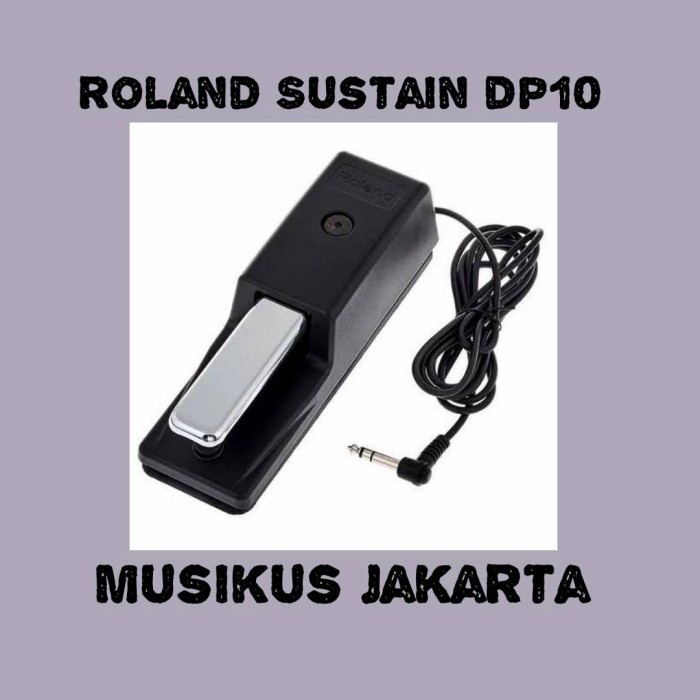 Jual Pdal Roland Sustain Keyboard Dp10 / Sustain Keyboard Dp10