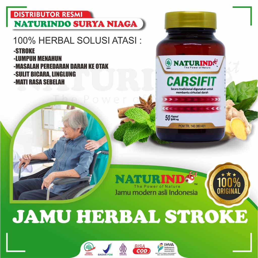 Jual Obat Stroke Ampuh Struk Herbal Ampuh Ringan Stroke Lumpuh Menahun ...