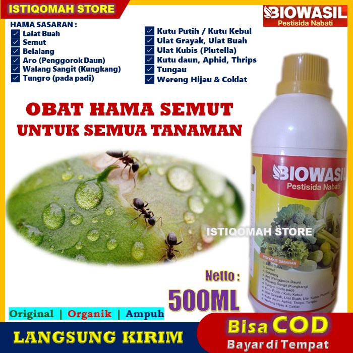 Jual Obat Tanaman Pembasmi Hama Semut Biowasil 500ml Pestisida Nabati