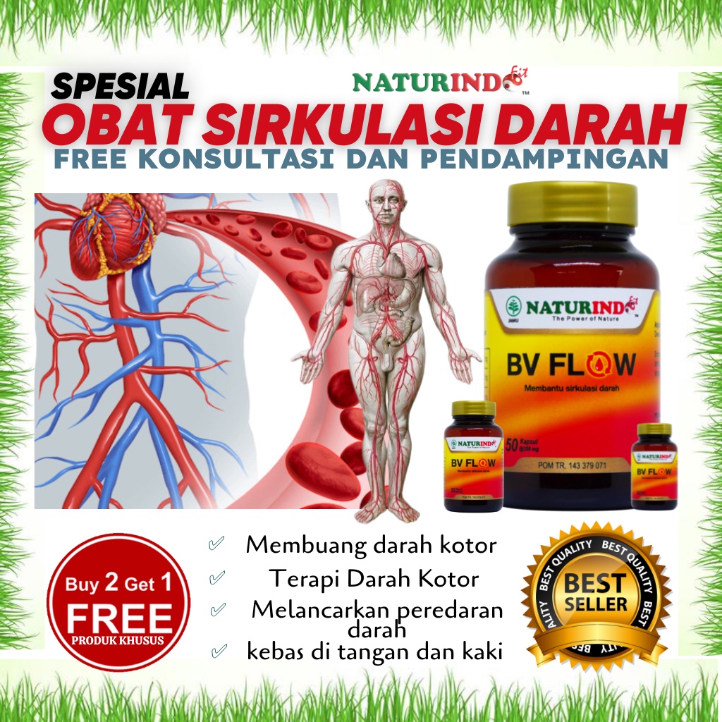 Jual Obat Herbal Penyumbatan Pembuluh Darah Sirkulasi Pembersih