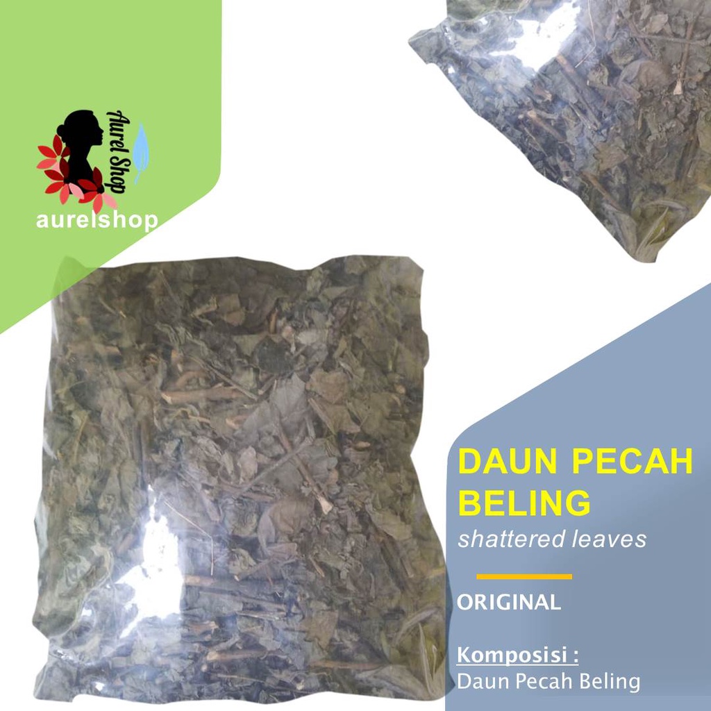 Jual Daun Pecah Beling Kering 1 Kg Keji Beling Kecibeling ...