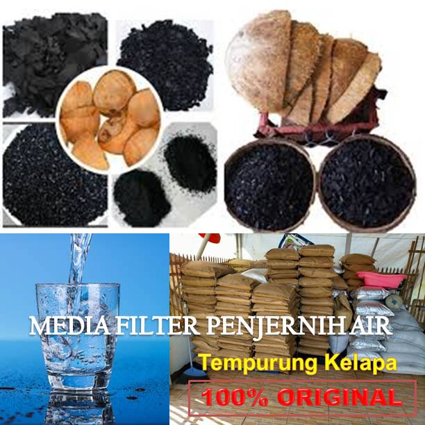 Jual Karbon Aktif Arang Tempurung Kelapa Media Filter Penjernih Air 20