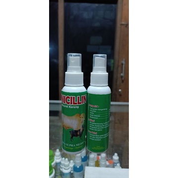 Jual PINICILLIN (Mengatasi koreng, kudis pada sapi, kerbau, kambing dan ...