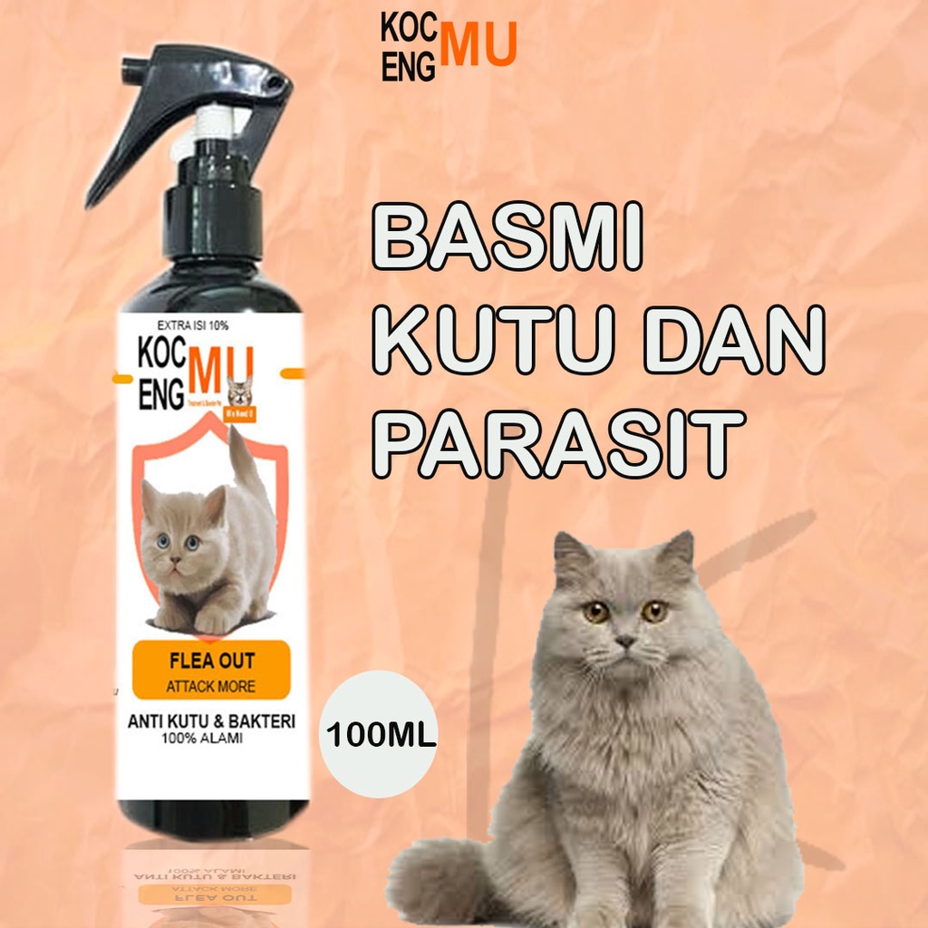 Jual Obat Kutu Semprot Obat Kutu Kucing Spray Kutu Kucing Penghilang