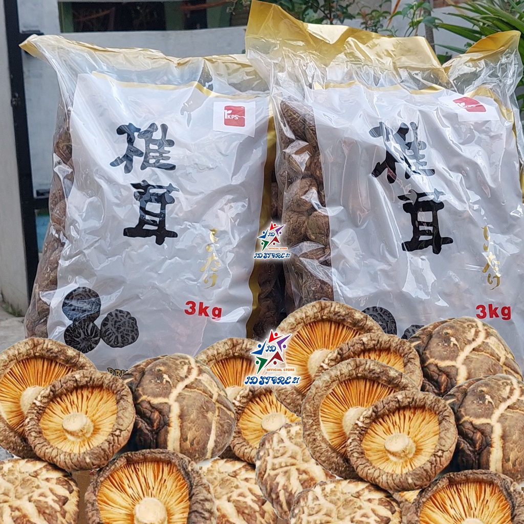 Jual Jamur Shitake Hioko Xiang Gu Fragrant Mushroom Premium 25g 50g 100g Dried Shiitake Shopee