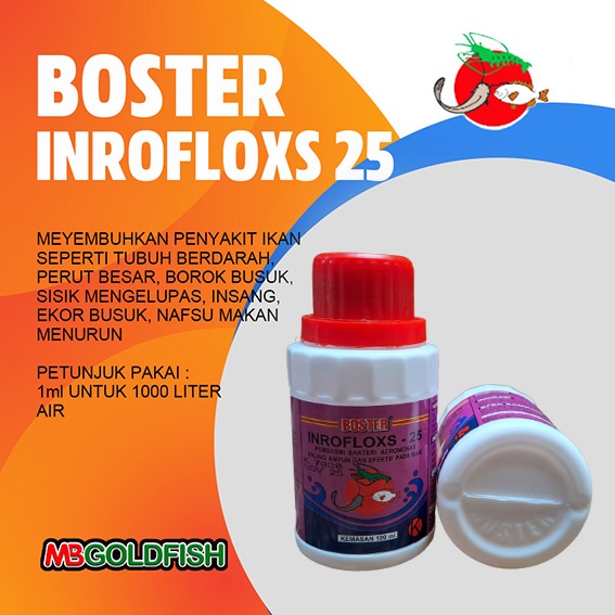 Jual Boster Inrofloxs Cair Ml Shopee Indonesia