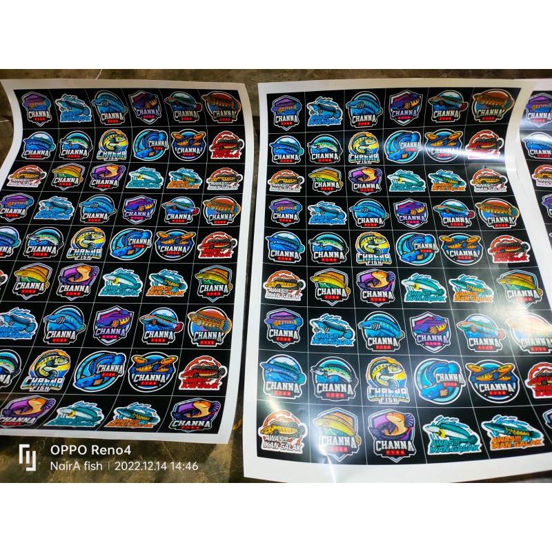 Jual stiker Channa | Shopee Indonesia