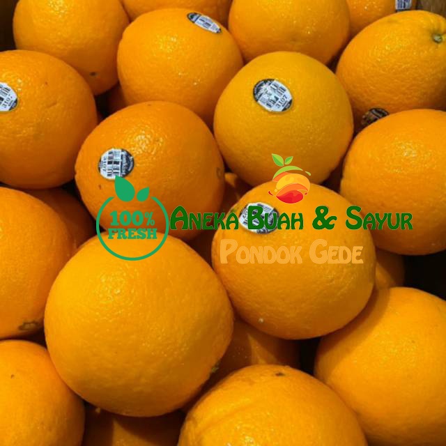 Jual Buah Jeruk Sunkist Import Segar 1kg Shopee Indonesia