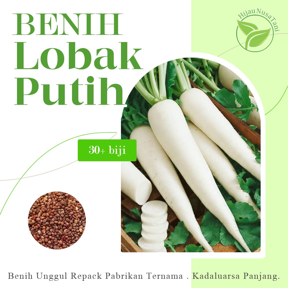 Jual Benih Lobak Putih [isi 30 Biji] Ecer Repack Share In Pack Biji