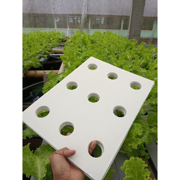 Jual Infra Board/ impra board papan hidroponik ukuran 30 x 40, putih ...