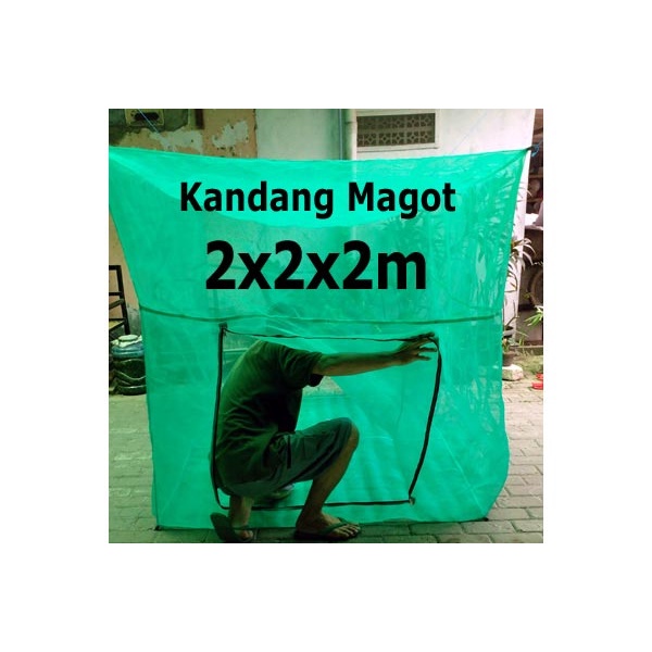 Jual Kandang Magot Lalat BSF X X M Shopee Indonesia