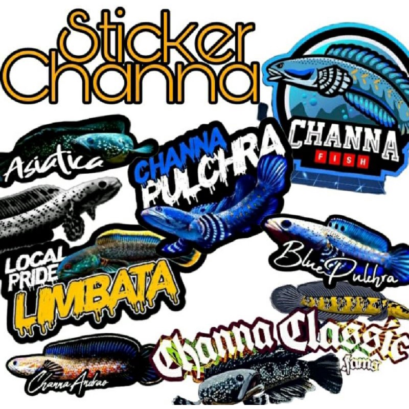 Jual Stiker Channa 20pcs Stiker Aquarium Ikan Channa | Shopee Indonesia