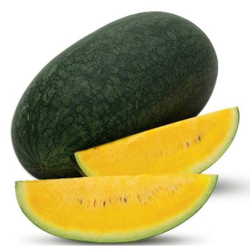 Jual 5 Benih Semangka Inul Kuning F1 Hibrida Maduri Bibit Tanaman Buah ...