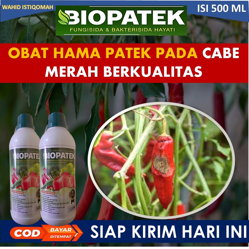 Jual Biopatek Ml Fungisida Bakterisida Hayati Obat Mengatasi Hama Penyakit Bercak Busuk