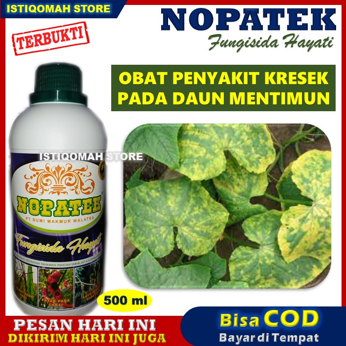 Jual Nopatek Ml Fungisida Hayati Obat Semprot Untuk Mengatasi Penyakit Kresek Pada Mentimun