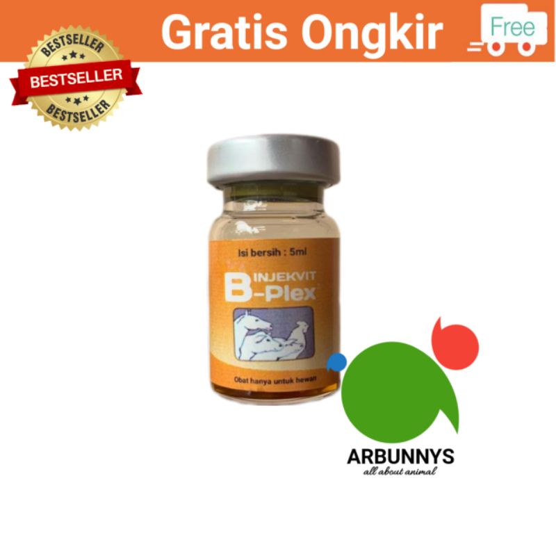 Jual Vitamin B Komplek Injeksi 5ml Kucing Ayam Kelinci | Shopee Indonesia