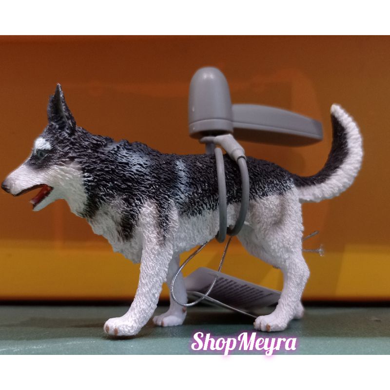 Collecta Sibirischer Husky – Naturgetreue Spielzeugfigur | Größe L Für Sammler & Kinder