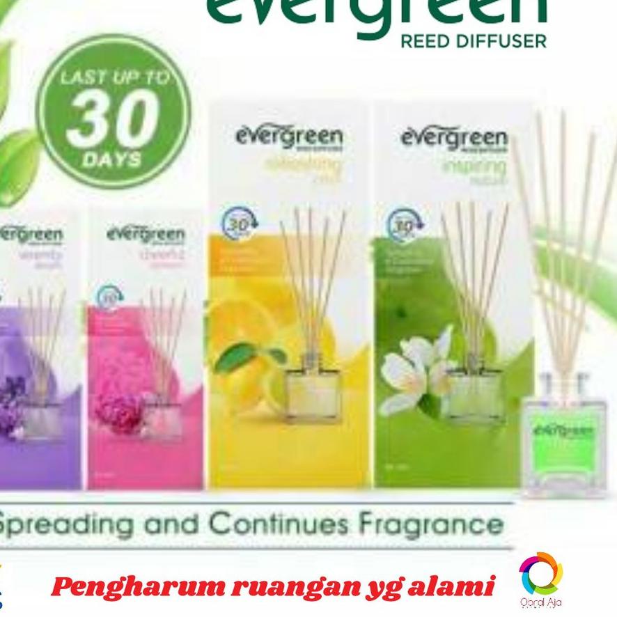 Jual 4.4 Promo >> Evergreen Reed Diffuser 30 Ml / Aroma Sensation 50 Ml ...