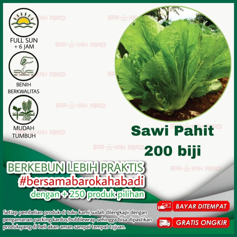 Jual 200 Benih Sawi Pahit Majapahit Sayuran Unggul Bintang Asia Bibit