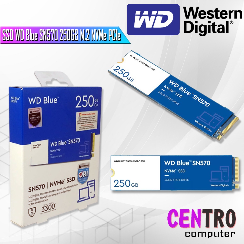Jual SSD WD Blue SN570 250GB / 500GB M.2 NVMe PCIe - WD Blue ssd m.2 ...