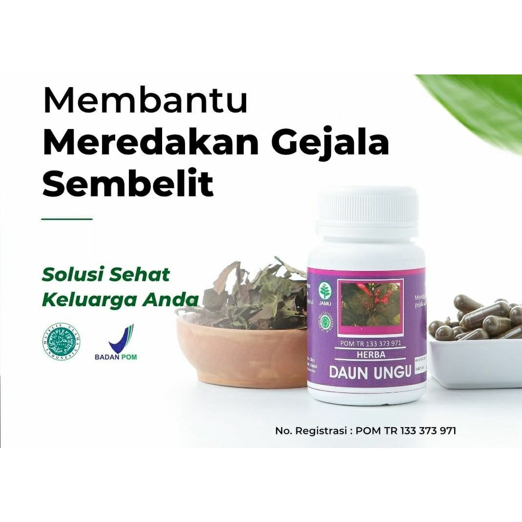 Daun Ungu Obat Wasir Luar Dalam Berdarah BPOM Ambeien Anus Keluar Ambeyen Wasir Berdarah
