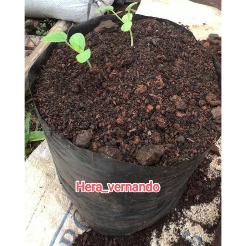 Tanah Media Tanam Superr Subur Siap Tanam