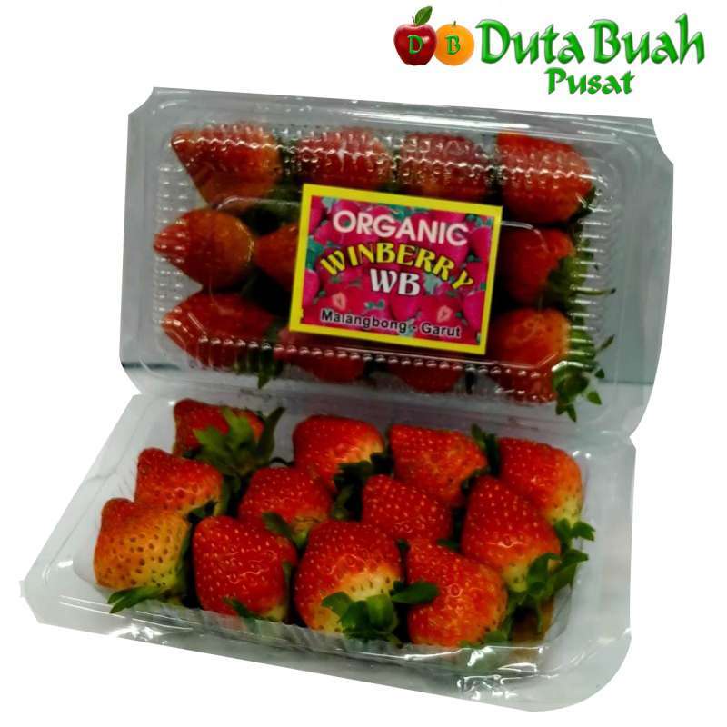 Jual DUTA BUAH PUSAT Strawberry Winberry Kecil (-+125gram/pack ...