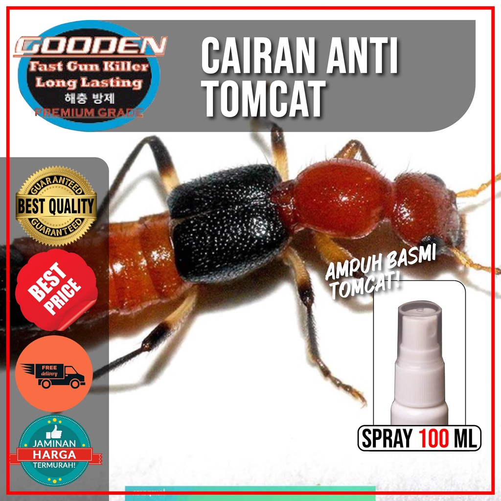 Jual racun cairan pembasmi tomcat 100 ml gooden racun pengusir tomcat
