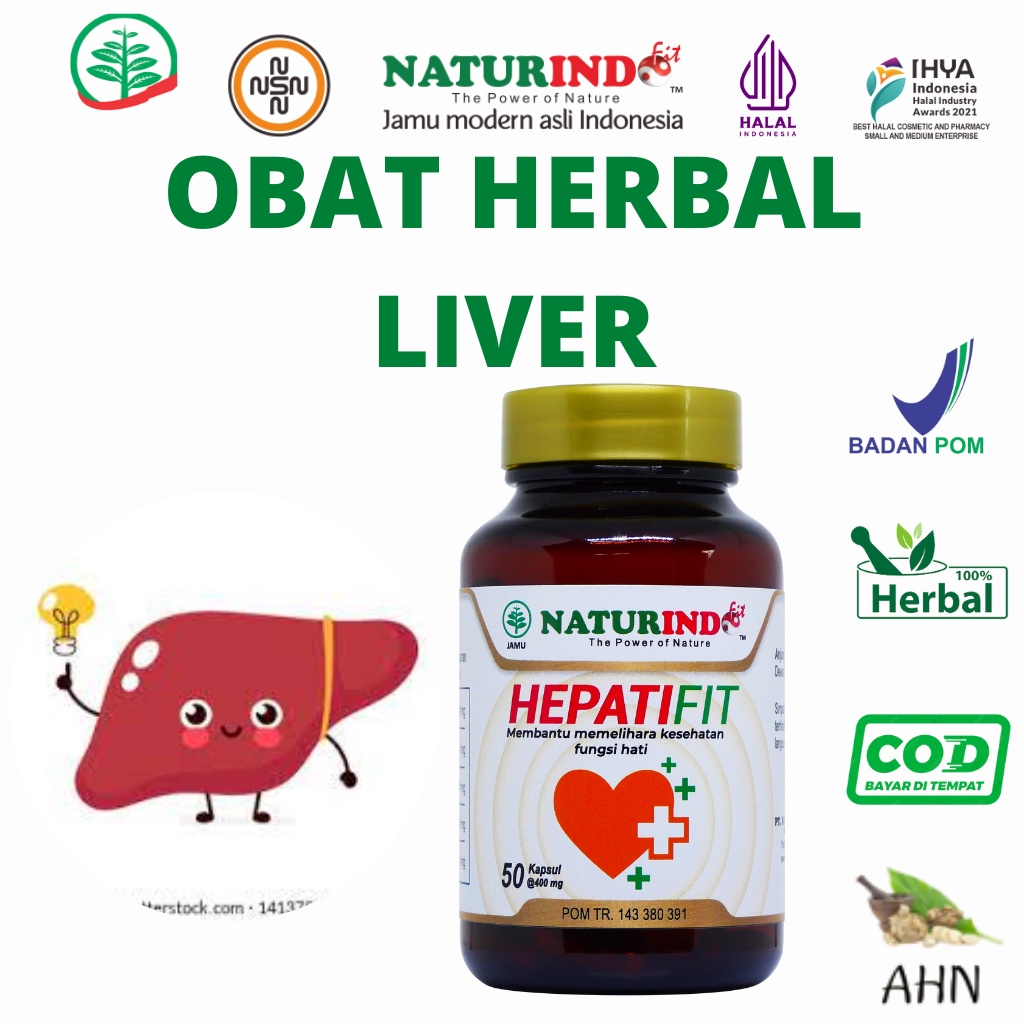 Jual HEPATIFIT Obat Herbal Liver Bengkak Batu Empedu Kronis Hepatitis A ...