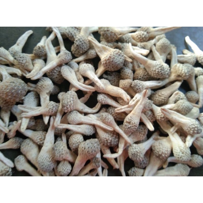 Jual Jamu Mpot Empot Ayam Putih Biji Utuh Minuman Herbal Tradisional ...